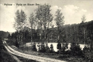 Polanów - Reprodukcja 39838