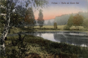 Polanów - Reprodukcja 39839