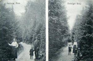 Polanów - Reprodukcja 39856