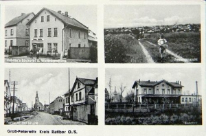 Pietrowice Wielkie - Reprodukcja 39895