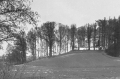39901 (Copy).jpg