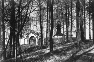 Ponięcice - Reprodukcja 39902