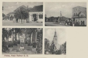 Maków - Reprodukcja 39981