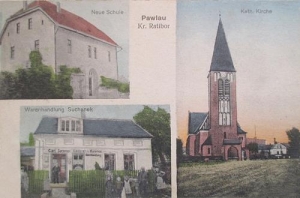 Pawłów - Reprodukcja 39991