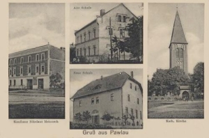 Pawłów - Reprodukcja 39992