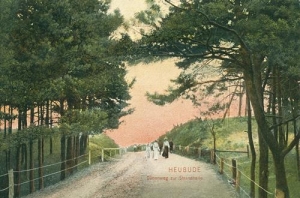 Gdańsk - Reprodukcja 40092