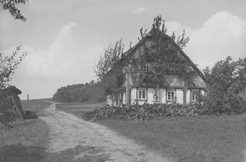 40306 (Copy).jpg