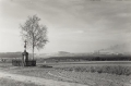 40330 (Copy).jpg