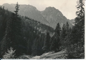 Tatry - 020959