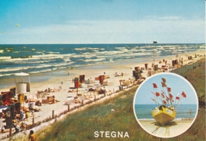 Stegna - 021109