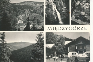 Międzygórze - 021398