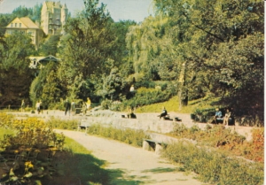 Krynica - 021459