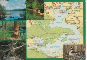 Jezioro Wigry - 021477