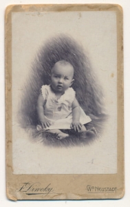 CDV Fotografia wizytowa - 19635