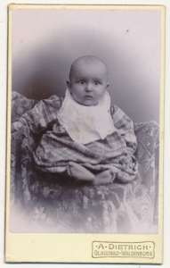CDV Fotografia wizytowa - 19705