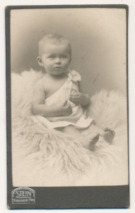 CDV Fotografia wizytowa - 19754