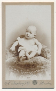 CDV Fotografia wizytowa - 19883