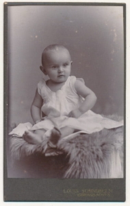 CDV Fotografia wizytowa - 19889