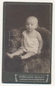 CDV Fotografia wizytowa - 19894