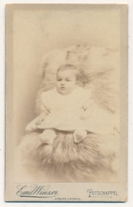 CDV Fotografia wizytowa - 19988