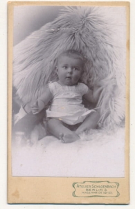 CDV Fotografia wizytowa - 20157
