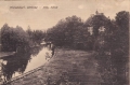 nowe-15842.jpg