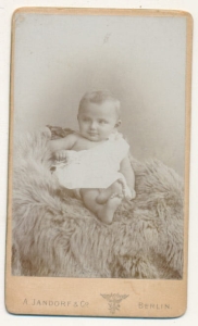 CDV Fotografia wizytowa - 20624