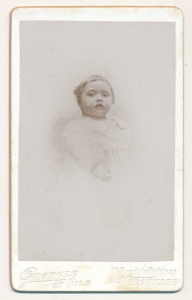 CDV Fotografia wizytowa - 20983