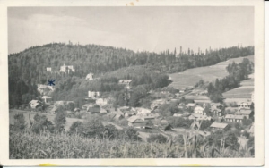 Iwonicz Zdrój - 021811