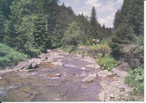 Beskid Śląski - 021827