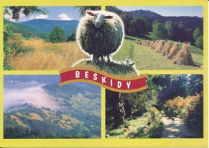 Beskidy - 021830
