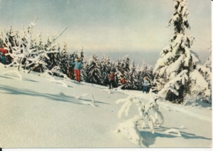 Beskid Śląski - 021833