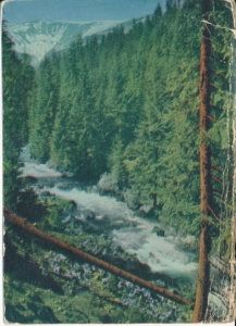 Tatry - 021857