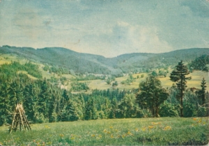 Wisła - 022170