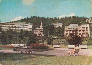 Krynica - 022231