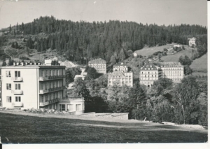 Krynica - 022239