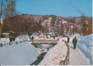 Krynica - 022244