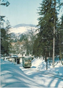 Krynica - 022246