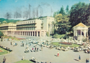 Krynica - 022263