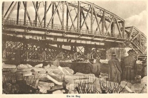 Terespol - Reprodukcja 40379