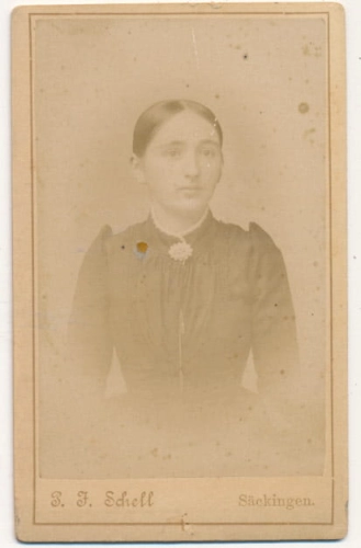 IMG_0005.jpg