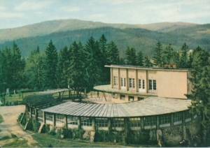 Krynica - 022607