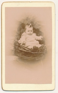 CDV Fotografia wizytowa - 21990