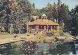 Krynica - 022731