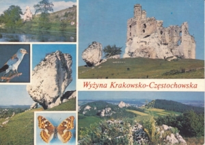 Wyżyna Krakowsko Częstochowska - 023004
