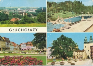 Pocztówka Głuchołazy widokowa - 023071