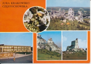 Jura Krakowsko Częstochowska - 023124