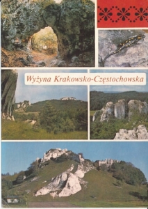 Wyżyna Krakowsko Częstochowska - 023127