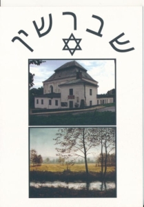 Szczebrzeszyn synagoga widokowa - 023239