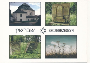 Szczebrzeszyn synagoga widokowa - 023240